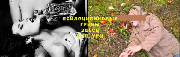 мдпв Куйбышев