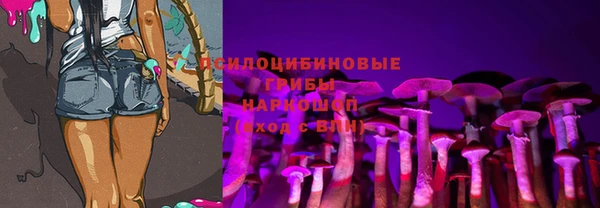 мдпв Куйбышев