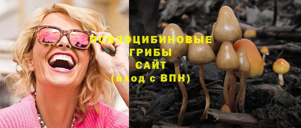 винт Кукмор
