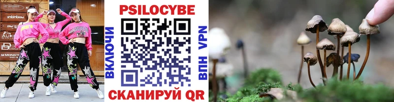 Псилоцибиновые грибы MAGIC MUSHROOMS  Купить закладки  Кирово-Чепецк 